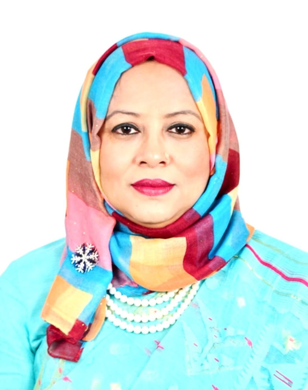 কর কমিশনার